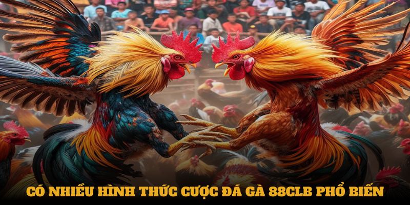 Có nhiều hình thức cược Đá gà 88CLB phổ biến