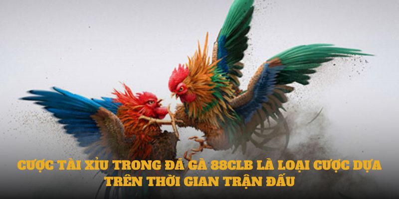 Cược tài xỉu trong đá gà 88CLB là loại cược dựa trên thời gian trận đấu