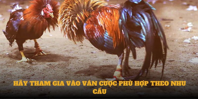 Hãy tham gia vào ván cược phù hợp theo nhu cầu